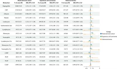 Risk of head and neck cancer in relation to blood inflammatory biomarkers in the Swedish AMORIS cohort
